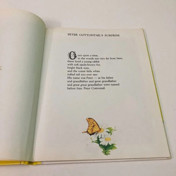 Vtg Peter Cottontails Surprise Greg Hildebrandt Book - Picture 12 of 16
